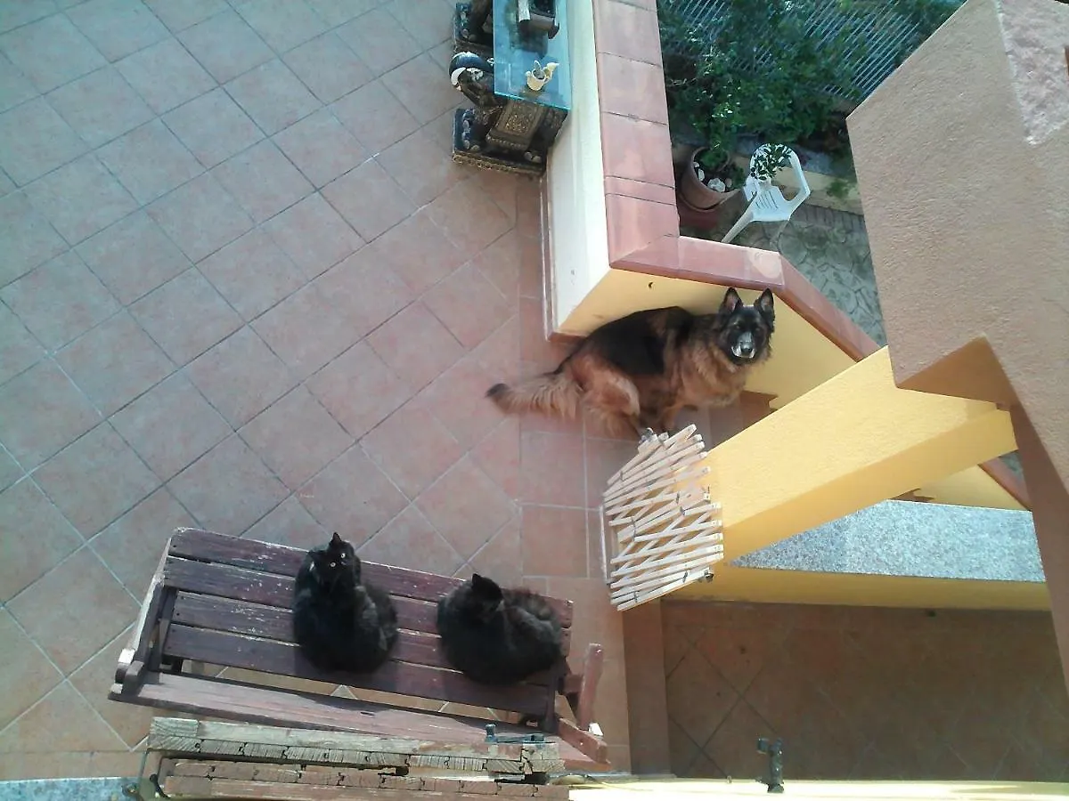 B&B Villa Sul Golfo Quartu SantʼElena Oda ve Kahvaltı